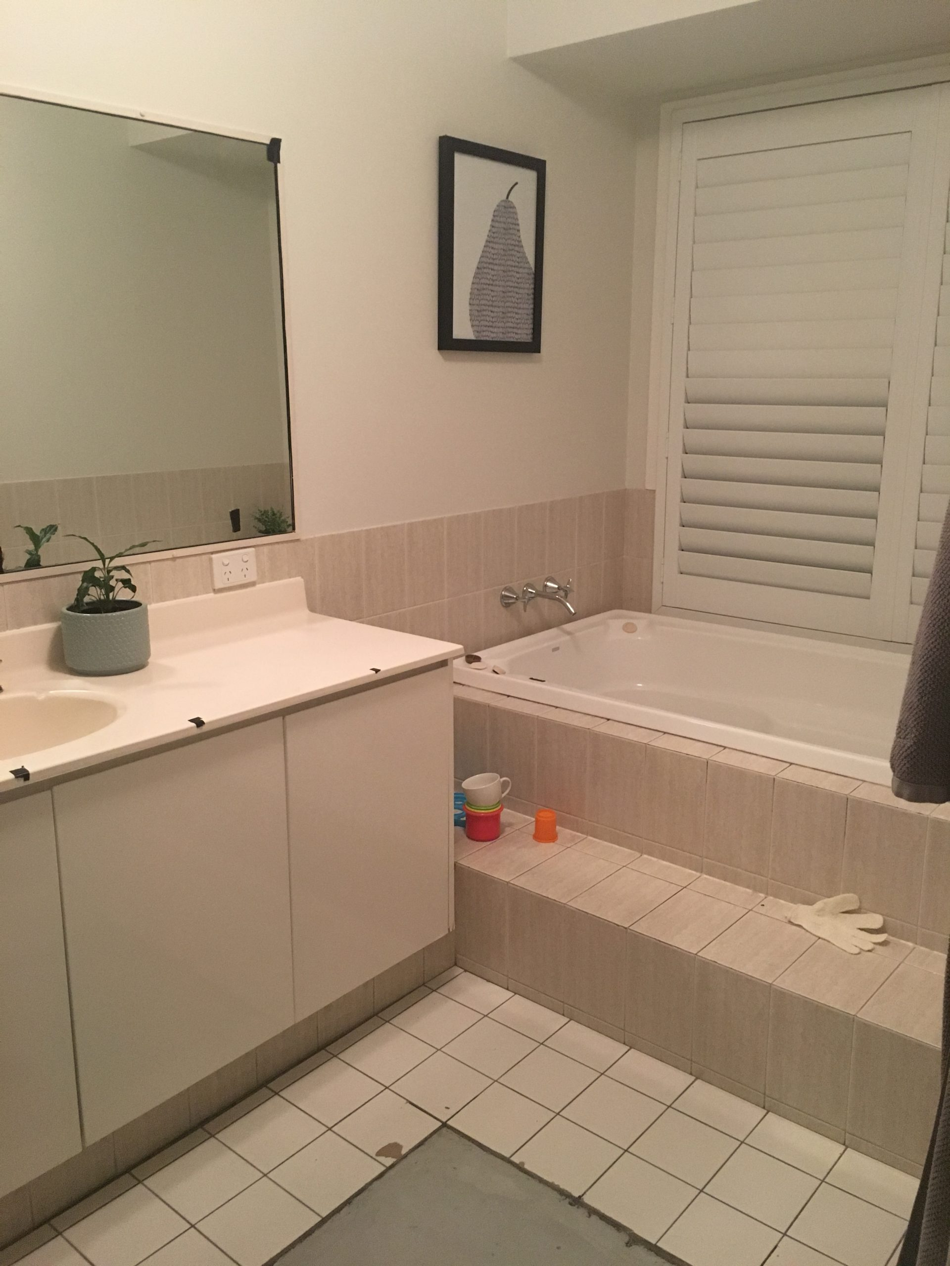 Before photograph of a bathroom renovation
